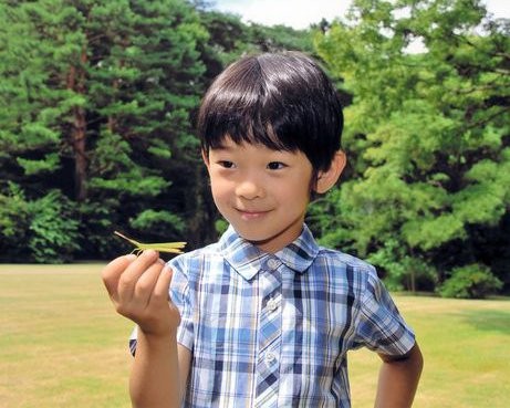 Prince Hisahito