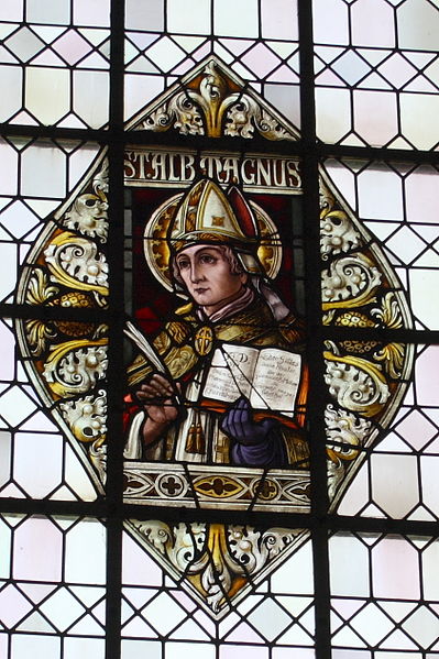 Stained glass window of St. Albert in the Church of the Assumption in Üxheim.